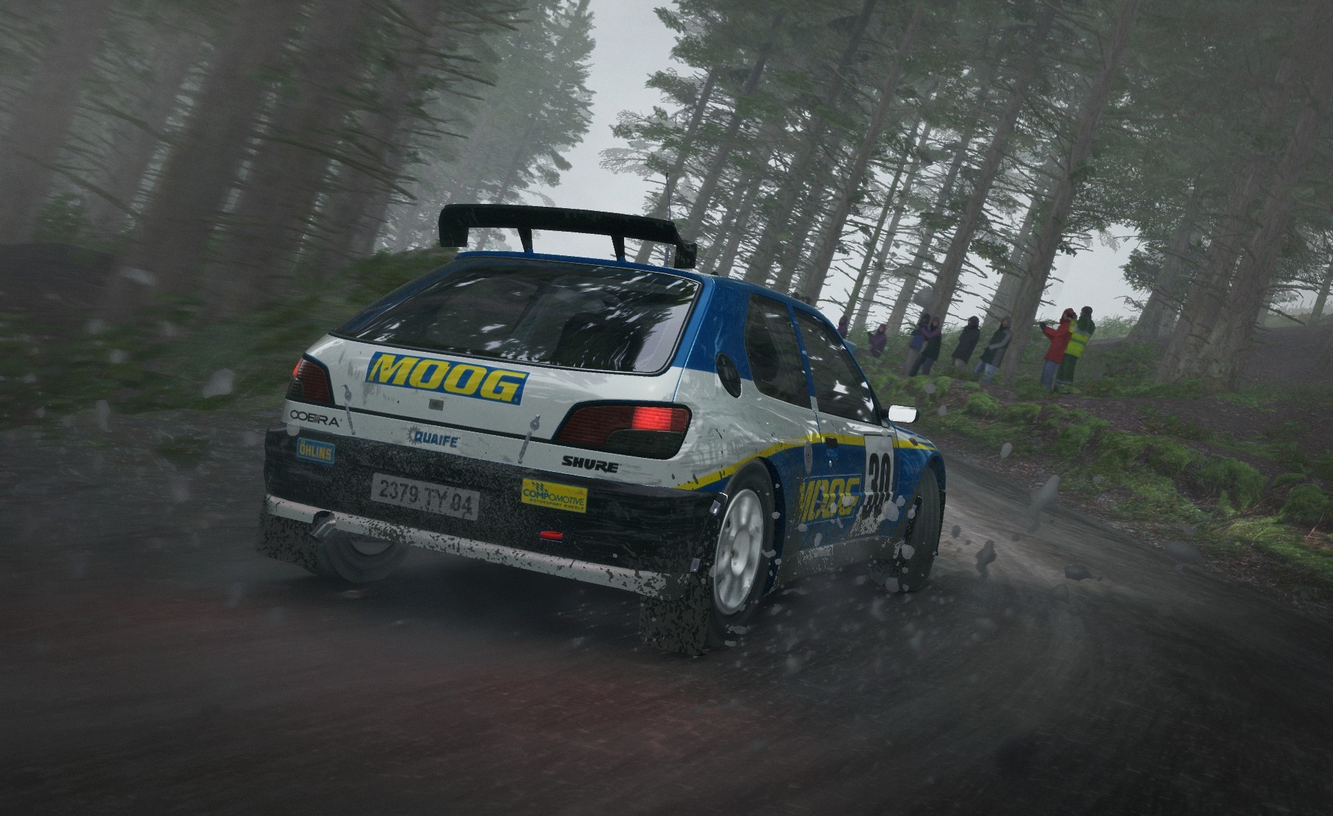 DiRT Rally - Imagen 30